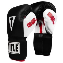TITLE Gel Intense Training / Sparring Gloves