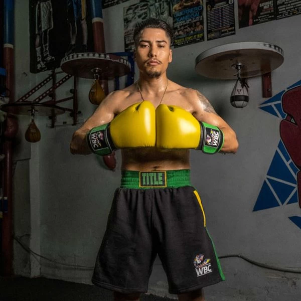 TITLE Boxing WBC Jose Sulaiman Training Gloves - Image 5