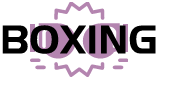 Boxing Shop